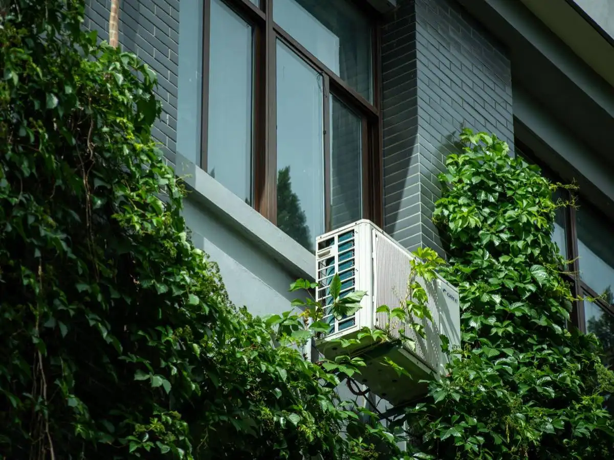 Energy-Efficient Windows for Valley Heat in Turlock, CA